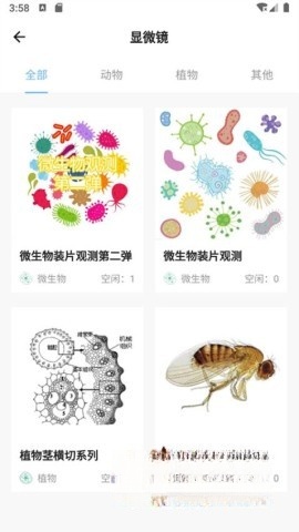 宝堆最新免费版图2