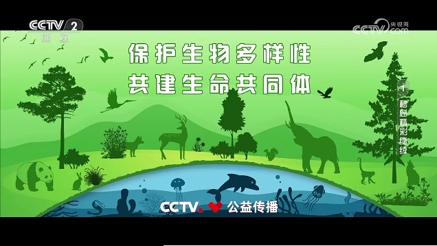 柠檬tv免费网络电视频道安卓版