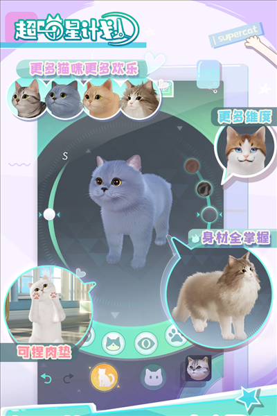 超喵星计划 41683正版图1