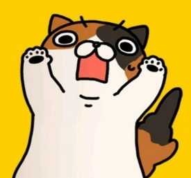 受惊的猫