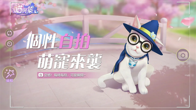 喵与筑 图2