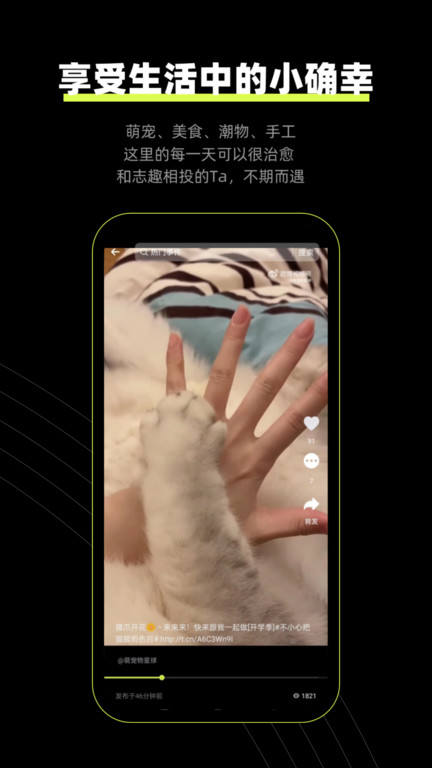 狮眼天下图3