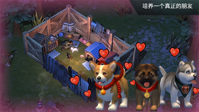 Last Day On Earth 通用版(4)