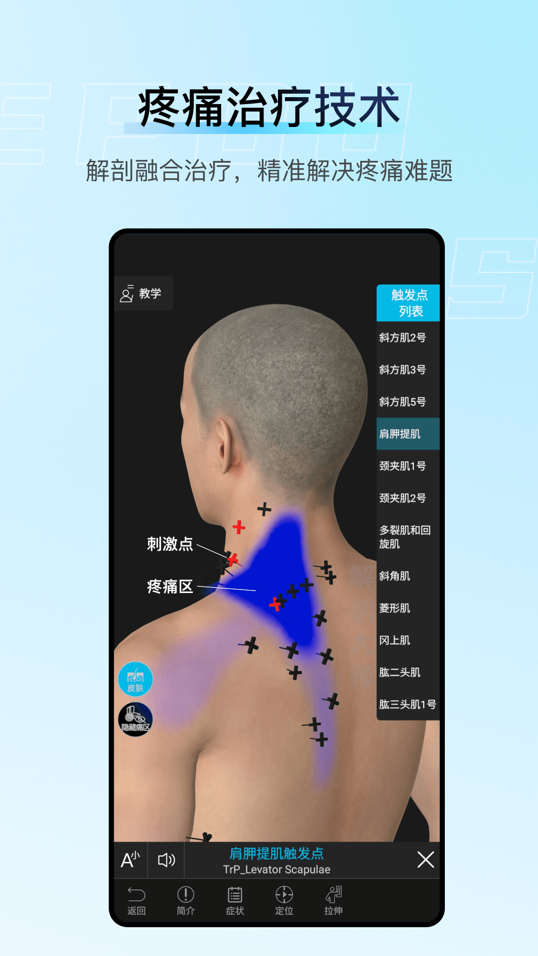 解剖大师 (2)