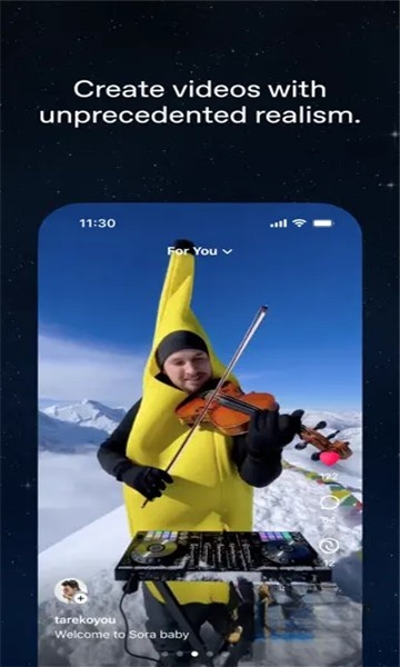 sora2
