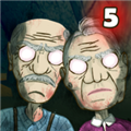 爷爷和奶奶5起源GrannyandGrandpa5Origin游戏绿色版