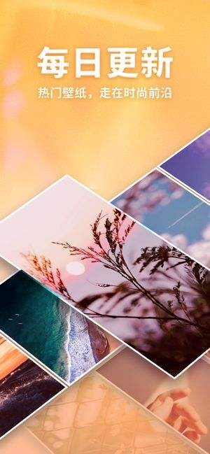 口袋壁纸图1