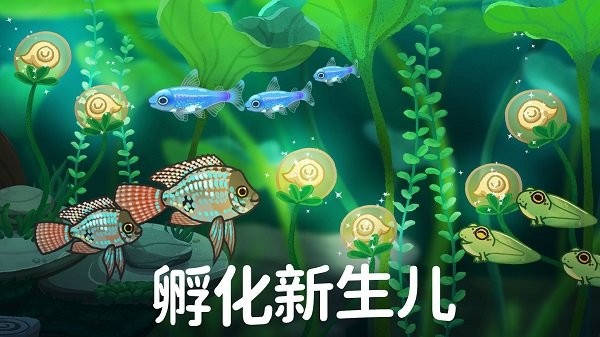 池趣游戏 Pondlife