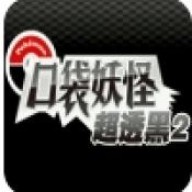 袋妖怪超透黑2 版