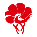 放新办App v1.1.8