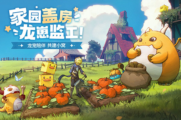 龙骑士学园安卓版图3