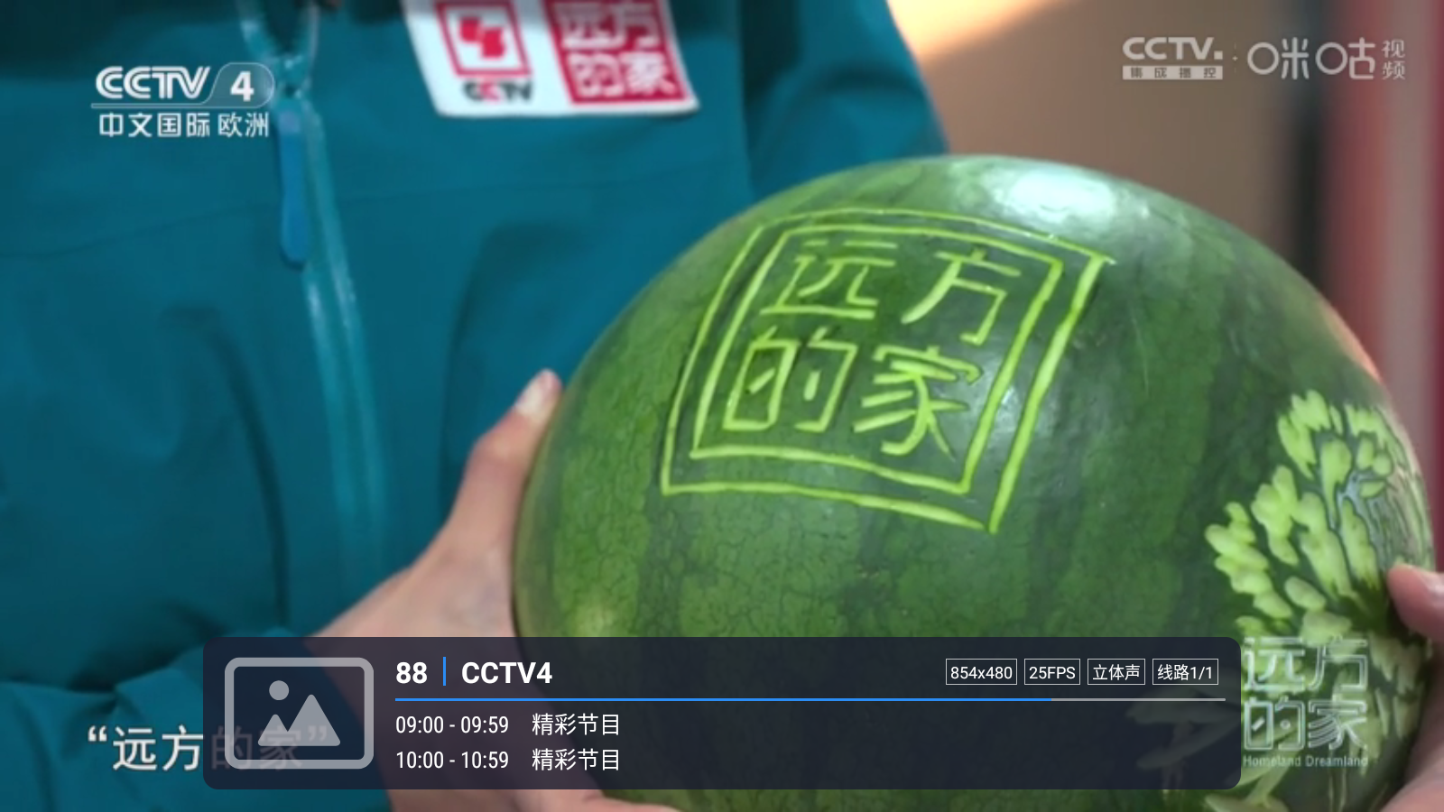 嘉庆TV图4