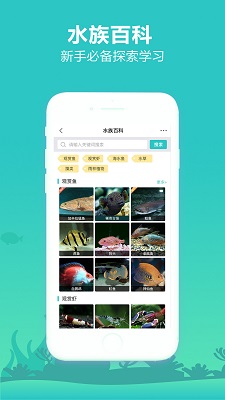 泡泡水族图5