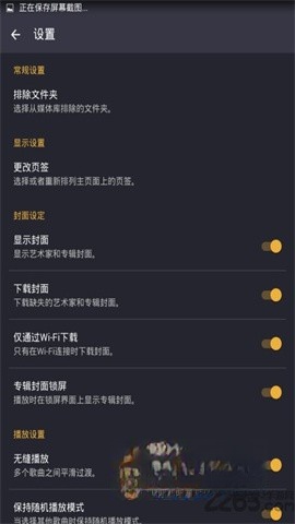 Pulsar Music Player Pro