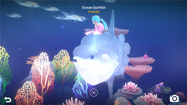 深海庭院最新版图2