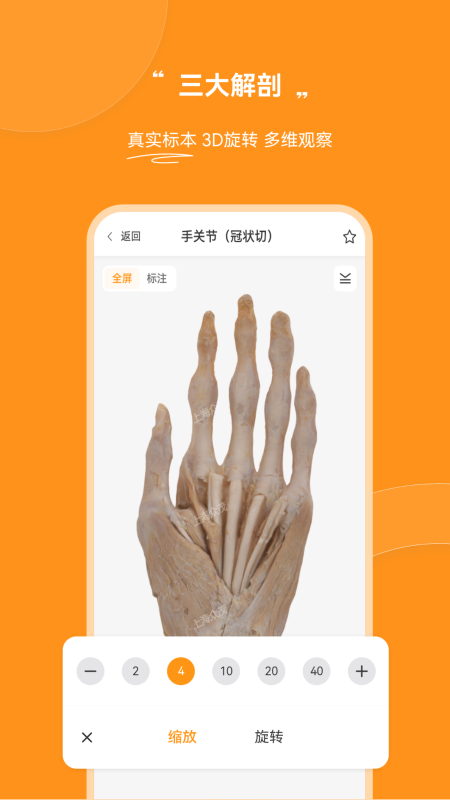 芝士医生图2