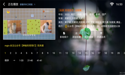 苹果影视tv版(2)