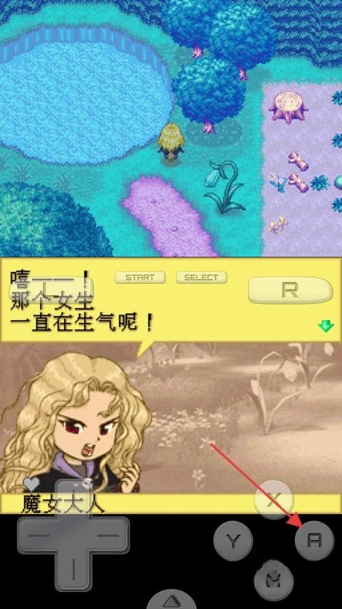 牧场物语精灵驿站官方版(4)