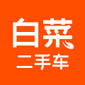 白菜二手车最新版