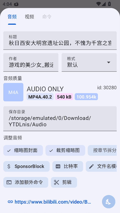 YTDLnis图2