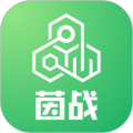 运动派