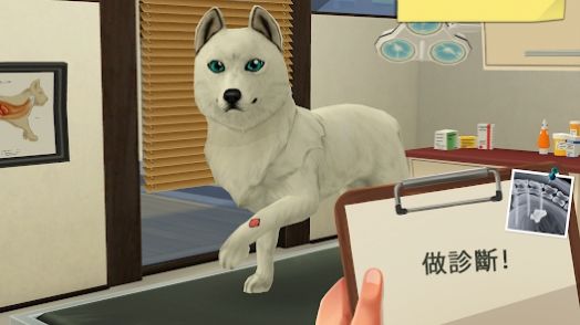 梦幻职业兽医游戏 Animal Hospital(2)