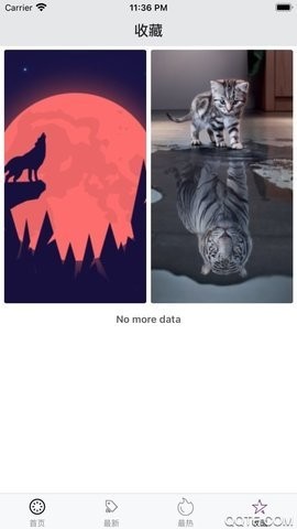 百变桌面壁纸安卓版图3