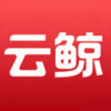 云鲸艺术 