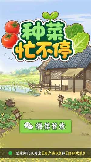 种菜忙不停1