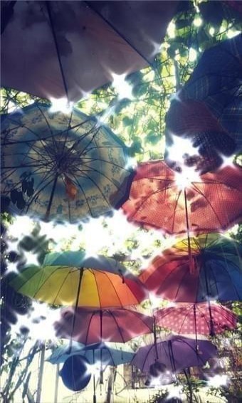 闪闪相机安卓版图2
