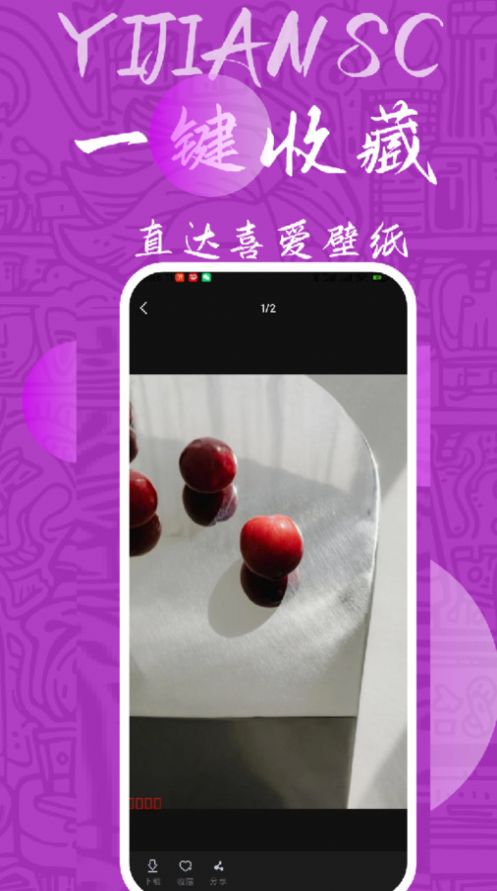 量岛图3