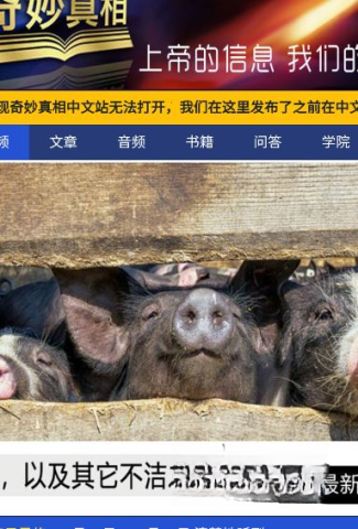 奇妙真相手机最新版图1