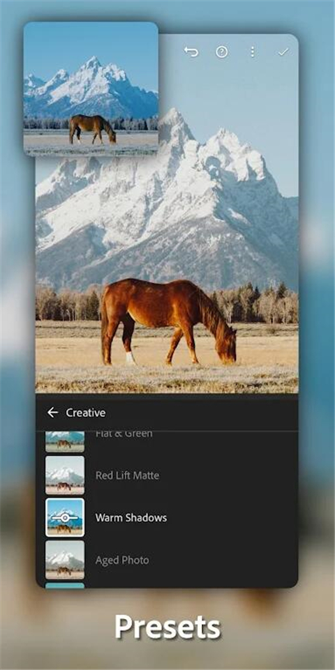 Lightroom解锁版图3