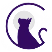 夜猫阅读正版