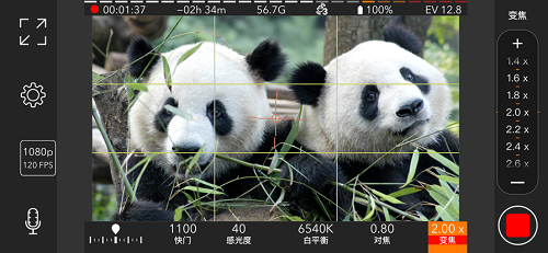 promovie正版图2