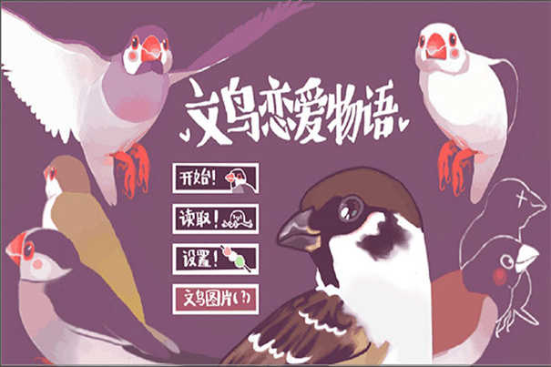 文鸟恋爱物语完整版(4)