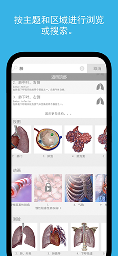 2026人体解剖学图谱图5