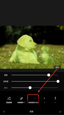 醒图最新解锁版(3)