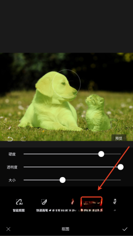 醒图最新解锁版(4)