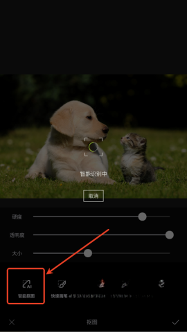 醒图最新解锁版(2)