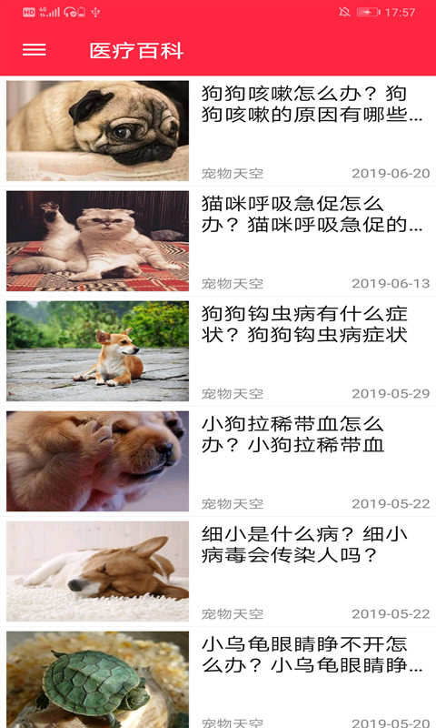 火猫宠社图3
