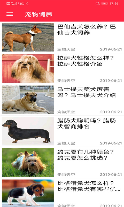火猫宠社图4