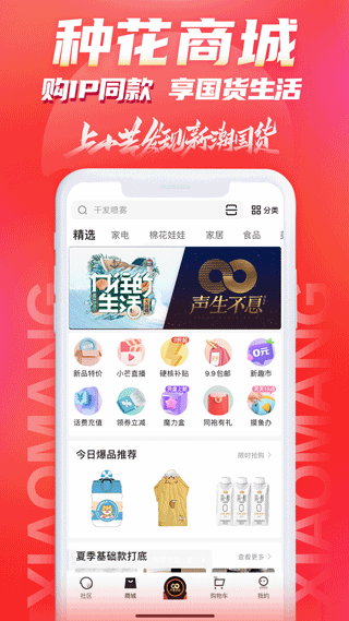 小芒图4