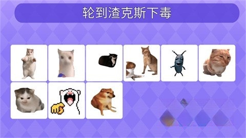 女巫的毒药猫meme版