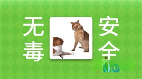 女巫的毒药猫meme版