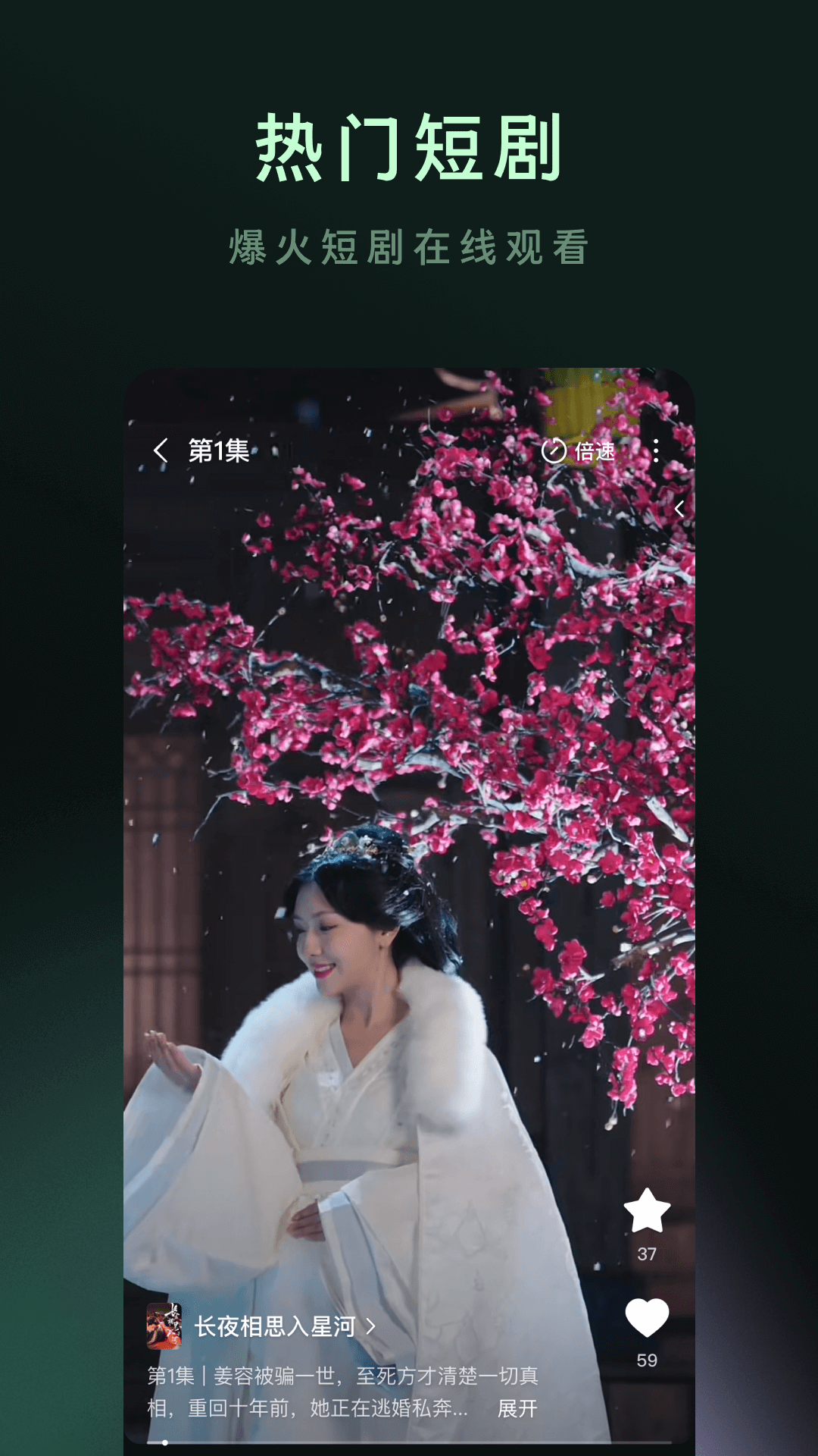 木叶短剧免费播放图3