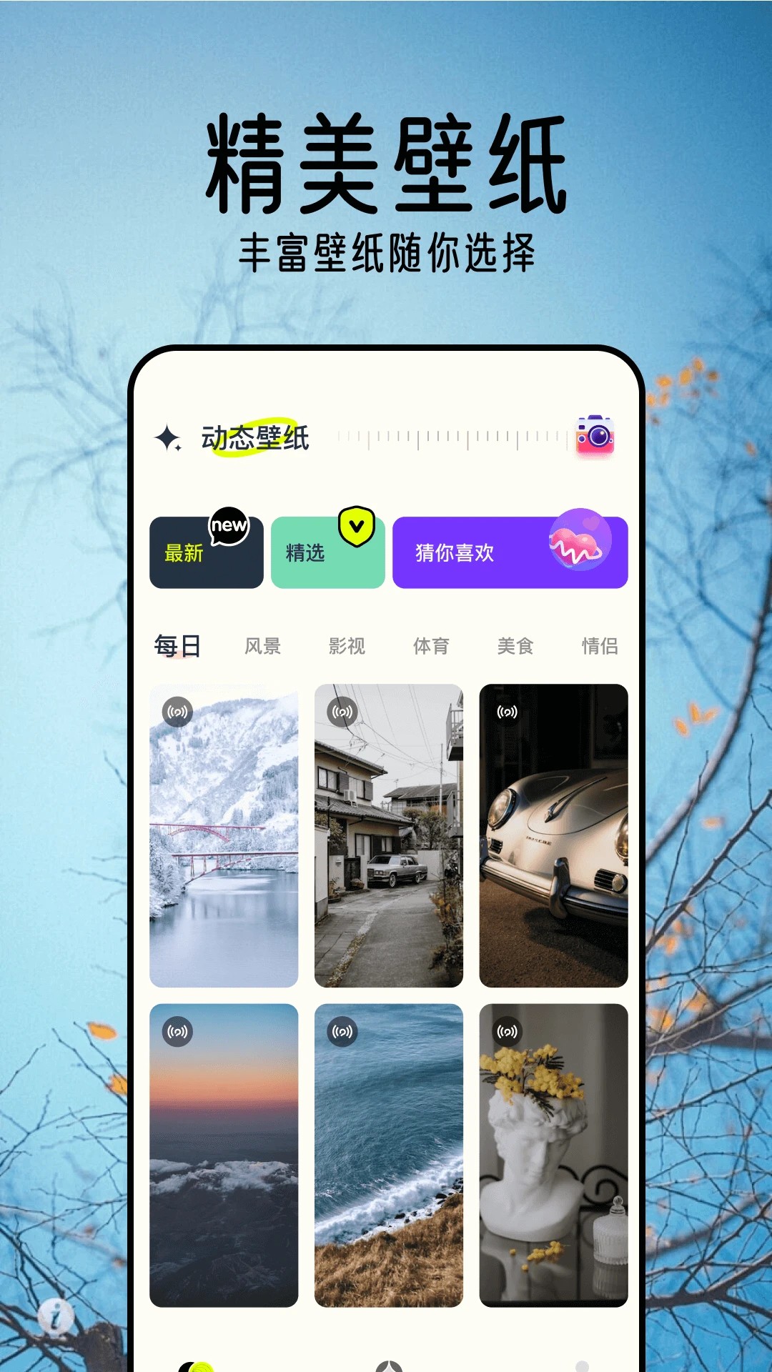 壁纸精灵安卓版图3