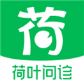 荷叶问诊免费版