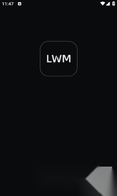 LWM软件(1)