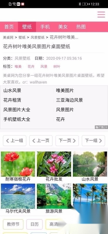 跑狗图(1)